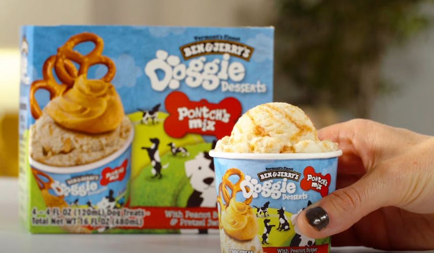 Ben & Jerry's dog dessert